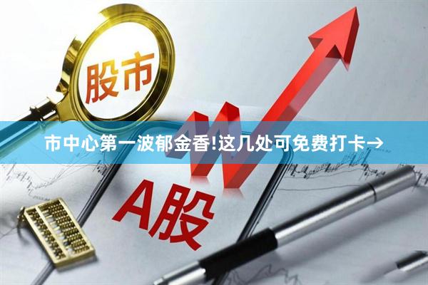 市中心第一波郁金香!这几处可免费打卡→