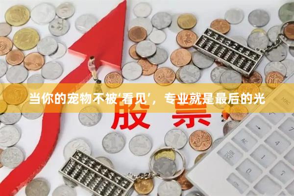 当你的宠物不被‘看见’，专业就是最后的光
